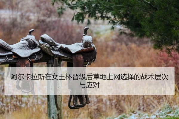 阿尔卡拉斯在女王杯晋级后草地上网选择的战术层次与应对