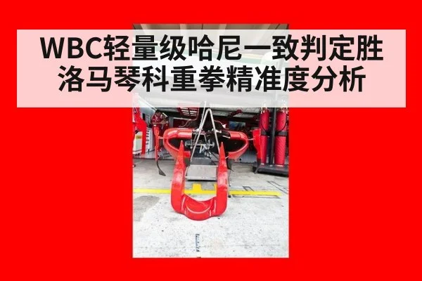 WBC轻量级哈尼一致判定胜洛马琴科重拳精准度分析